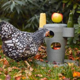 Beeztees Snacktorn för Höns av 100% Återvunnen Plast